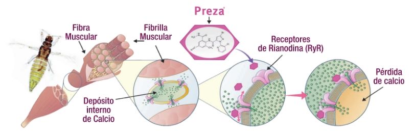 Preza: Innovación en Insecticidas Residuales