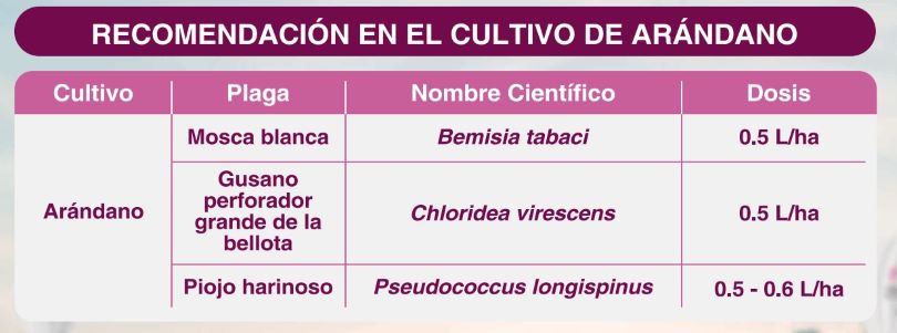 Preza: Innovación en Insecticidas Residuales