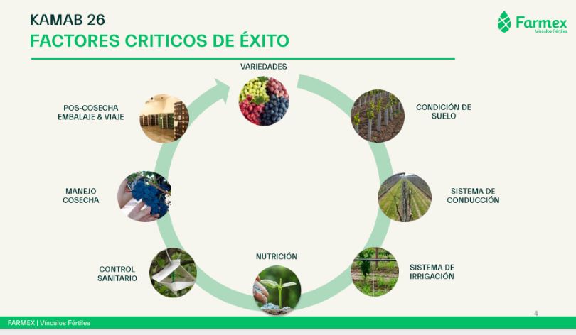 ¿Cómo mejorar la calidad en los cultivos de exportación?