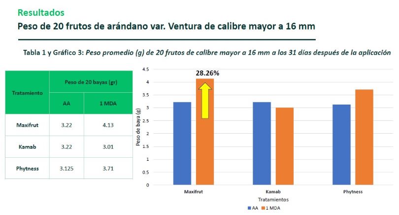 Cuadro 4 - ¿Cómo Potenciar la Producción de Paltas y Arándanos? 