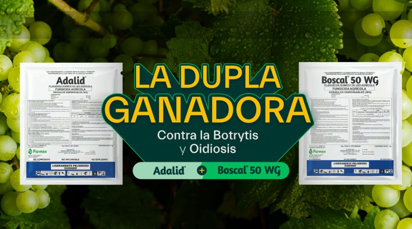 2 Nuevas Herramientas para el Control de  Botrytis y  Oidiosis