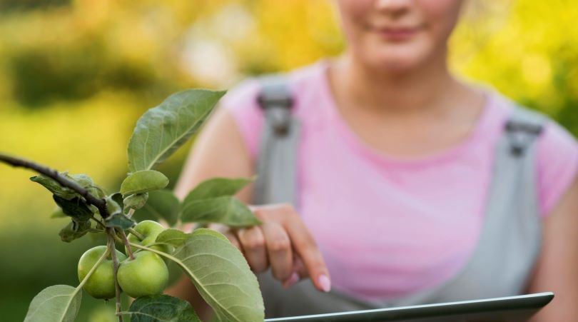 Estrategias para Garantizar la Seguridad Alimentaria en Perú