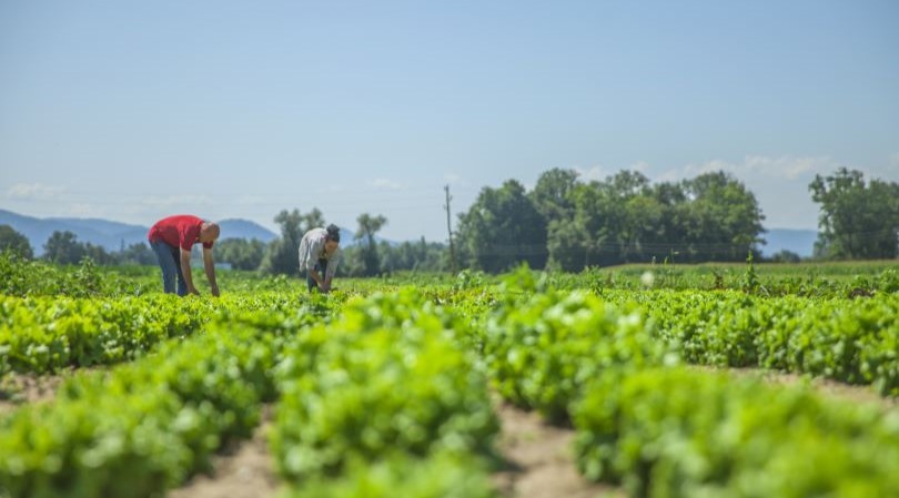 Oportunidades para los Agroexportadores Peruanos en APEC 2024