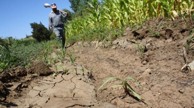 ¿Tendremos La Niña costera en 2025?