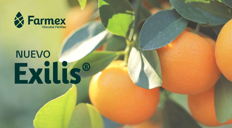 Exilis: Una nueva herramienta para mejorar la calidad de las frutas