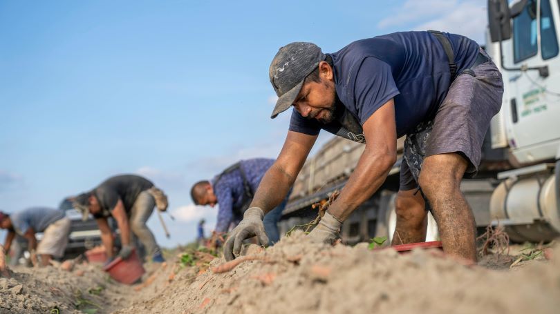 La importancia de proteger a los trabajadores ante la exposición al sol